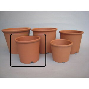 Aؔ  fĂ S|bg 7 ԏ/4120061y01z K[fjOE|pi t[|bg eRb^(fĂ)