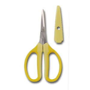 AXR[|[V/ԃNtg`L@@CG[/FW-330H-Yy01z ԎށEt[Xg (͂)E