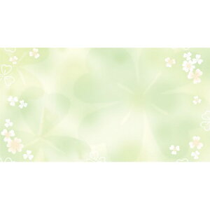 `LEO[eBOX/MtgJ[h ړI 50/G-253y01zy01z bsOpi A bZ[WJ[h O[eBOJ[h