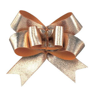 �R���{��/�X�p�[�N���o�^�t���C�@13X50�P #004/2869-4�y01�z ���{�� ���H���{�� ���ʃe�[�v�{���{��