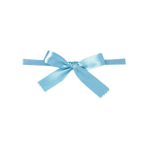 青山リボン/リーガルタイドボウ(タイツキ) 13X100ケイリ #009/7432-9【01】 リボン 加工リボン タイ+リボン