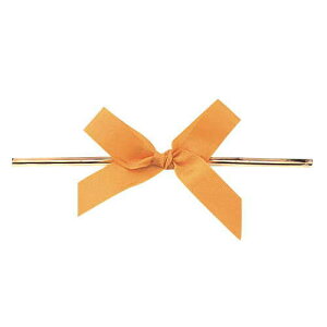 �R���{��/�G�X�e���^�C�h�{�E�@13X100�P #004/7445-4�y01�z ���{�� ���H���{�� �^�C�{���{��