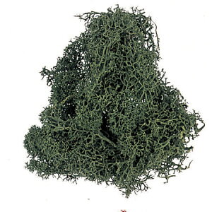 yvU[uhzH|/CfBAX@ܓ@X/165-9-9y01z vU[uht[ vU[uhO[ XE