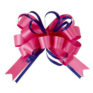 �R���{��/�X�^�[���[�v�{�E���@22mmX30�}�C�@��004/2402-4�y01�z ���{�� �����^�b�`���{�� ���[�v�{�E �v���{�E �������� �������� �ȒP ���Z ���b�s���O ���� �M�t�g �v���[���g �ԑ� �u�[�P �a