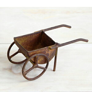 cY/~jJ[g/4659y07z K[fjOE|pi K[fjOG݁EI[ig ACAEuLG