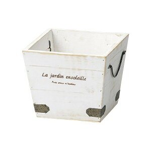 Aؔ  Paseo/Ebhv^[ L/WD-11WHy01z[3] K[fjOE|pi t[|bg ؐ