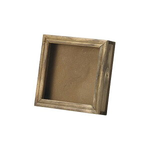 Paseo/Ǌ|AWpt[@M/WD-48BR-My01z[2] ԊA[X ԊEԕr t[t[