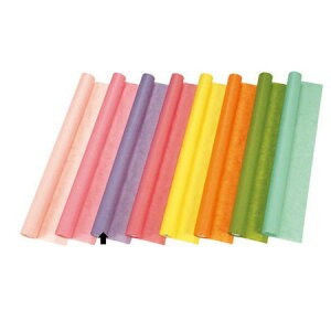 {/Ƃ_@74C×20M@tWC/36-67000-41y01z bsOpi A bsOy[p[() aEN[v