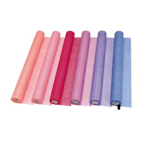 {/t[[@60CM×30M@10/36-71900-10y01z bsOpi A bsOy[p[() sDz