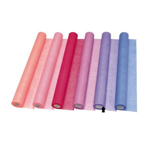 {/t[[@60CM×30M@19/36-71900-19y01z bsOpi A bsOy[p[() sDz