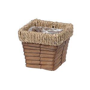 勴VX/zcXNGAx[XSSS/23-121y01z[10] ԊA[X ԂEt[oXPbg tFCNfރoXPbg