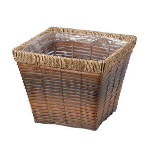 勴VX/zcv^[XNGAD6/23-126y01z ԊA[X ԂEt[oXPbg tFCNfރoXPbg