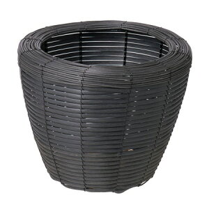 勴VX/ubNzcv^[D6/23-396y01z ԊA[X ԂEt[oXPbg (a)