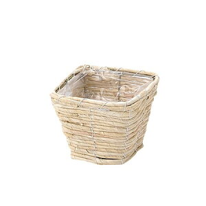 勴VX/}CX@XNGAx[XSSzCg/29-222y01z[10] ԊA[X ԂEt[oXPbg EH[^[qVXECYoXPbg