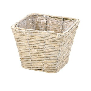 勴VX/}CX@XNGAv^[D4zCg/29-224y01z[6] ԊA[X ԂEt[oXPbg EH[^[qVXECYoXPbg