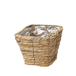 勴VX/}CX@XNGAx[XSSuE/29-252y01z[10] ԊA[X ԂEt[oXPbg ̑ Ԃ