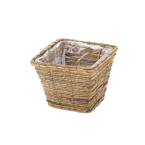 勴VX/}CX@XNGAv^[D4uE/29-254y01z[6] ԊA[X ԂEt[oXPbg ̑ Ԃ