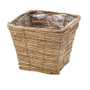 勴VX/}CX@XNGAv^|D5uE/29-255y01z ԊA[X ԂEt[oXPbg ̑ Ԃ