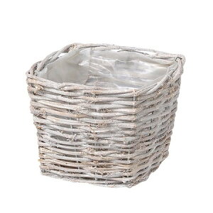 勴VX/uXNGAv^[D4/33-214y01z ԊA[X ԂEt[oXPbg ̑ Ԃ