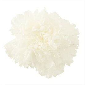 楽天市場 カーネーションの通販