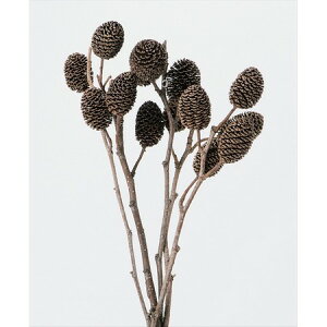 yΖӃZ[zyhCzn_/VuVE}@6{@N/24132-000y01z hCt[ hCt[c ؂̎