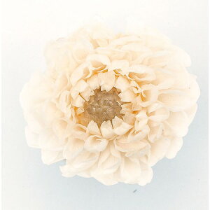 ダリア プリザーブドフラワーの人気商品 通販 価格比較 価格 Com