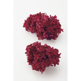 楽天市場 あじさい 赤の通販