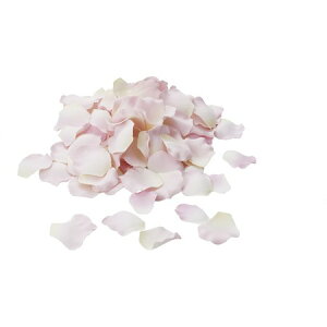 yԁzYDM/[Yy^ N[sN/FA6536-CRPy01z ԁiA[eBtBVt[j  ԍށu͍sv o