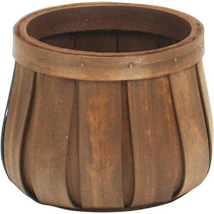 yΖӃZ[zSG Wonder zone/EbfBۃc{^S/732-011By07z ԊA[X ԂEt[oXPbg ̑ Ԃ