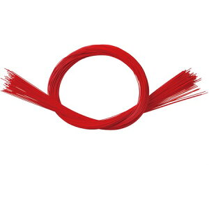 F /NI0001y01z ԎށEt[Xg fR[Vp[cEf 