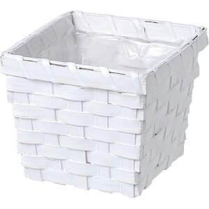 勴VX/oCXXNGAoXPbgD3/25-762y01z ԊA[X ԂEt[oXPbg ̑ Ԃ