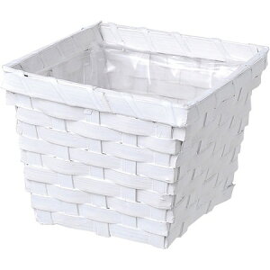 勴VX/oCXXNGAoXPbgD3D5/25-763y01z[20] ԊA[X ԂEt[oXPbg ̑ Ԃ