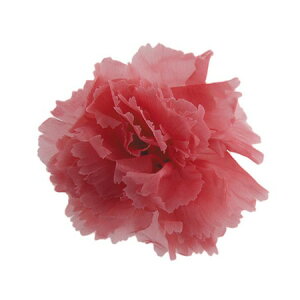 エバーフレッシュ 花 インテリア 家具の人気商品 通販 価格比較 価格 Com