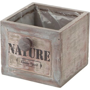 YDM/EbfB[h[{bNX/RFB021y01z K[fjOE|pi AؔEt[|bg ؐ