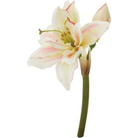 【造花】YDM/アマリリスピック　クリームピンク/FA6697-CRP【01】【取寄】 造花（アーティフィシャルフラワー） 造花 花材「あ行」 アマリリス