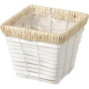 勴VX/zCgzcXNGAx[XS/23-423y01z[10] ԊA[X ԂEt[oXPbg ̑ Ԃ