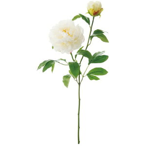 yԁzYDM/bW[sIj[ zCg/FA6841-W 䉖EOy01z ԁiA[eBtBVt[j  ԍށusv VNNi䉖jE{^iOjEsIj[