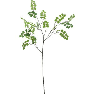 yԁzYDM/AWA^Xv[ O[/FG4516-GRy01z ԁiA[eBtBVt[j ԗtAtFCNO[ t@[