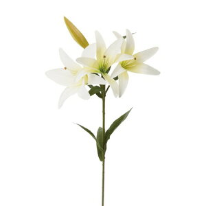 yԁzYDM/ItFI[@zCg/FA6943-Wy01z ԁiA[eBtBVt[j  ԍށusv JTuJ