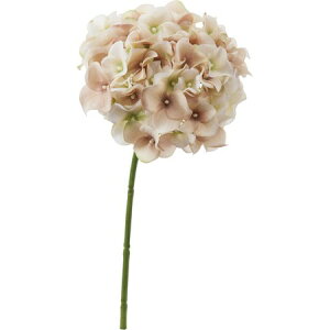 yԁzYDM/AfBnChWA/FA6967-GBEy01z ԁiA[eBtBVt[j  ԍށusv izԁj