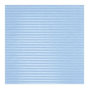 TTK/@NX^u[@S@50/49-2132y01z bsOpi A bsOy[p[() ()