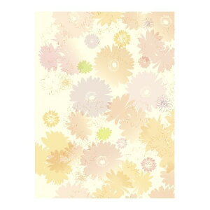 TTK/@^CA@S@50/49-2506y01z bsOpi A bsOy[p[() ()