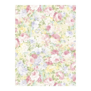 TTK/@y@S@50/49-2507y01z bsOpi A bsOy[p[() ()