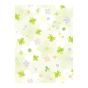 TTK/@u[tH[@˔@50/49-1513y01z bsOpi A bsOy[p[() ()