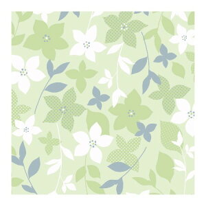 TTK/@t@COE΁@˔@50/49-1523y01z bsOpi A bsOy[p[() ()