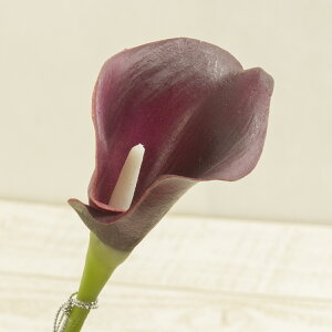 yԁzAXJ/A-31387 J[BiSj 007E@AeB|Np|v/A-31387-007Ey01z ԁiA[eBtBVt[j  ԍށusv J[