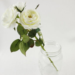 yԁzMAGIQ/_[Y 101 PRWH/FM009087-101y01z ԁiA[eBtBVt[j  ԍށu͍sv o