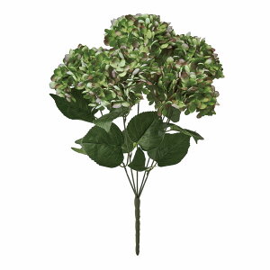 yԁzMAGIQ/~nChWAubV GR/PP/FM003694-024y01z ԁiA[eBtBVt[j  ԍށusv izԁj