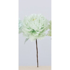 yԁzAXJ/sIj[sbN 051M ~g/A-33639-051My01z ԁiA[eBtBVt[j  ԍށusv VNNi䉖jE{^iOjEsIj[