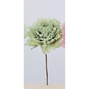 yԁzAXJ/sIj[sbN 052G OCbVO[/A-33639-052Gy01z ԁiA[eBtBVt[j  ԍށusv VNNi䉖jE{^iOjEsIj[